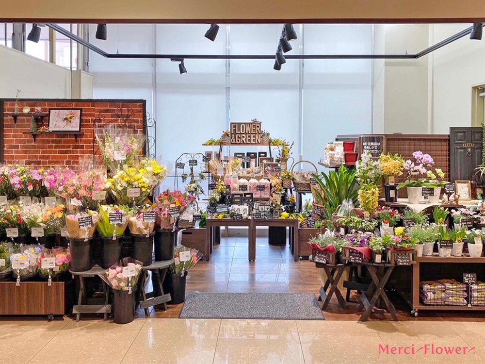 スーパーの花は安くて長持ち？実際に納品している私がその理由を紹介