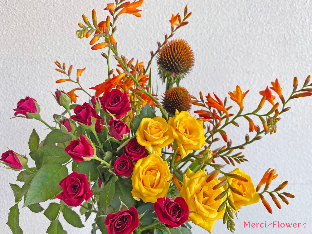 花　カラーセラピー 赤×オレンジ×黄色