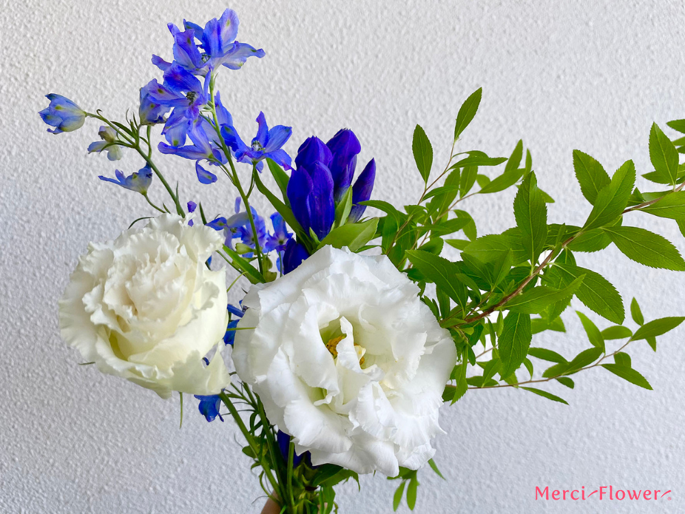 花　カラーセラピー 青×白×グリーン