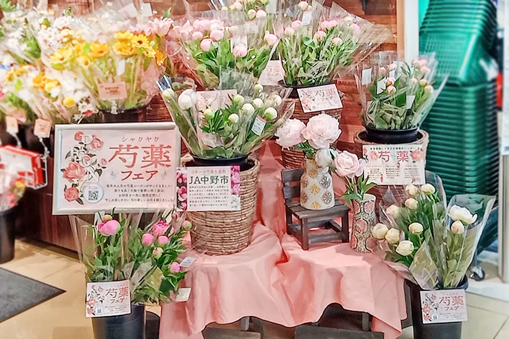 芍薬フェアイメージ