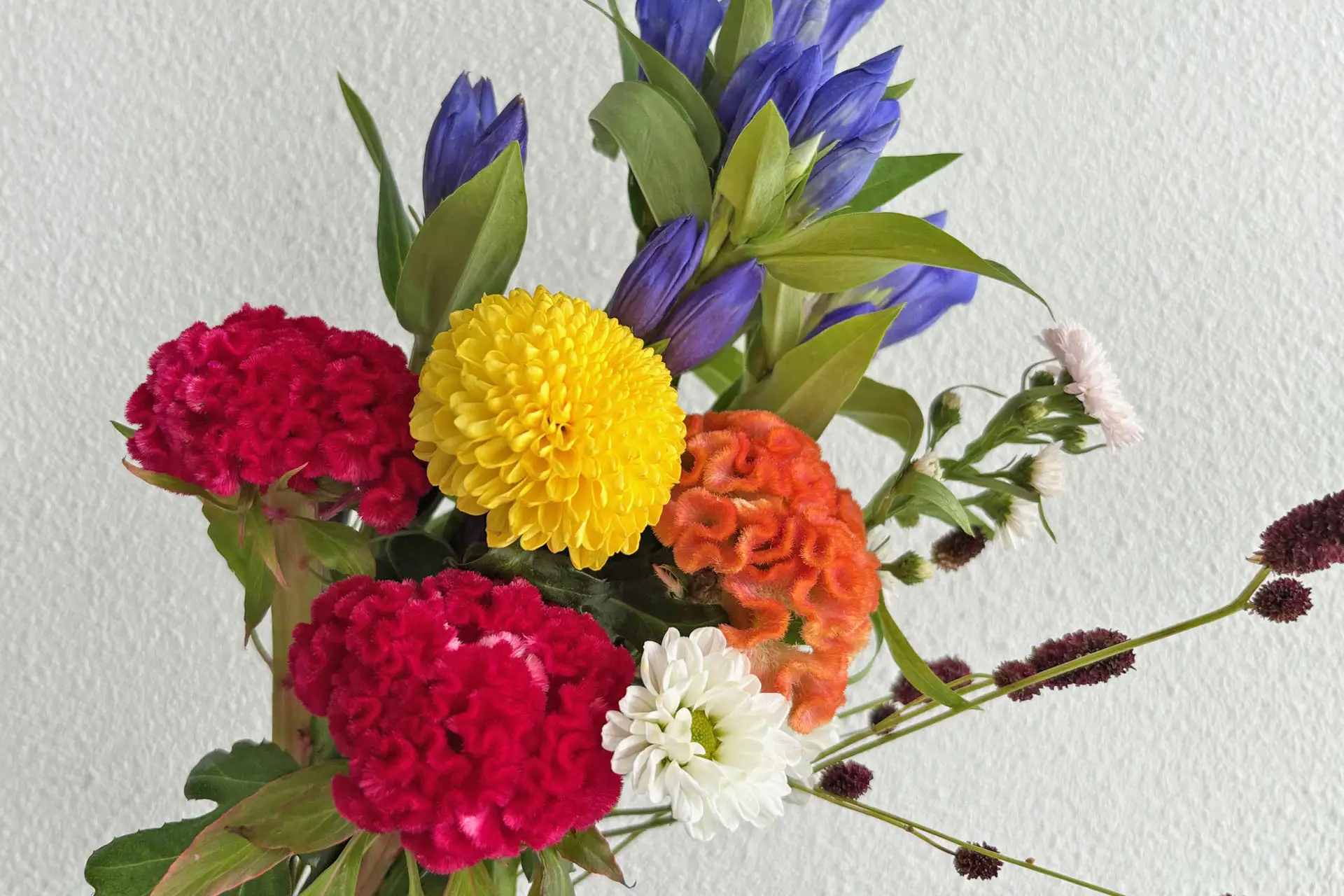温かみのある花々