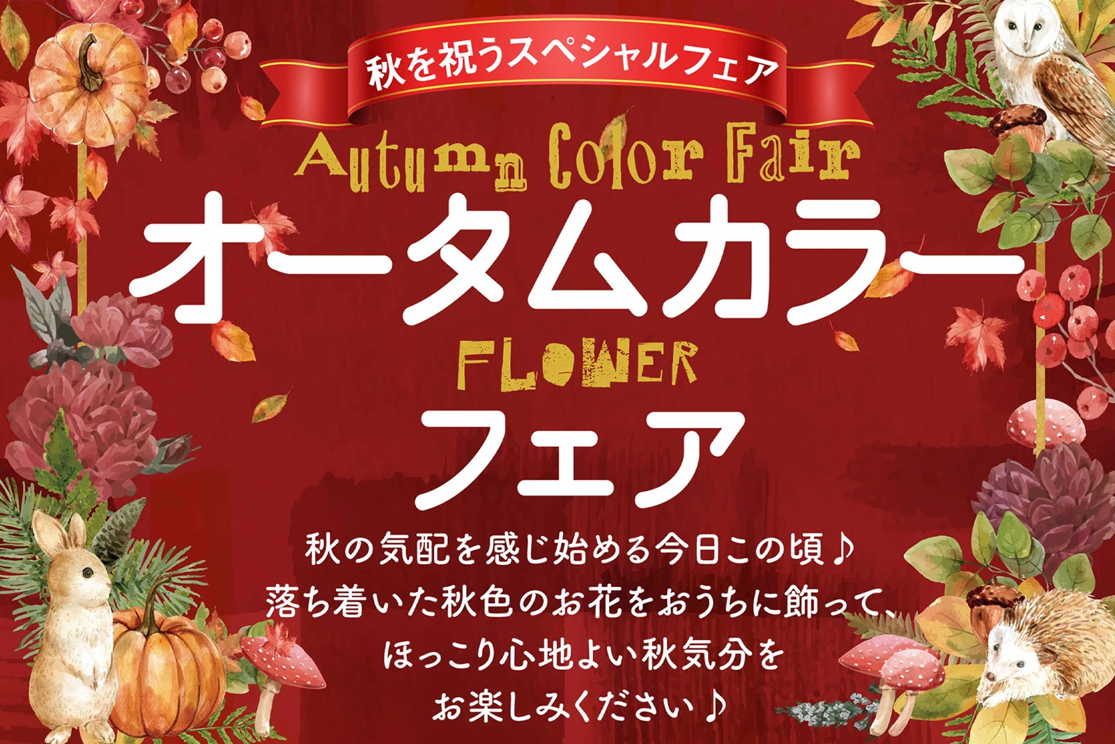 オータムカラーフェア メイン画像