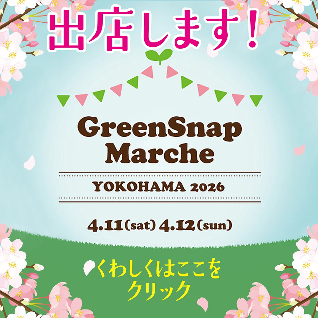 グリーンスナップマルシェ2026に出店します！