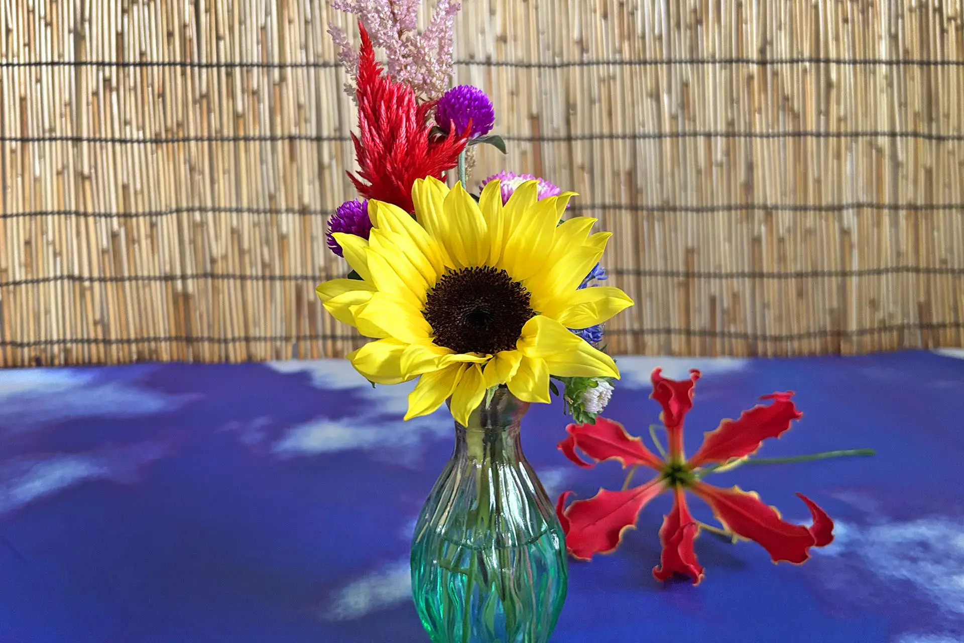 花火フェア花イメージ3